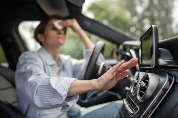Best Thermostats and Smart Controls in Ford Heights, IL